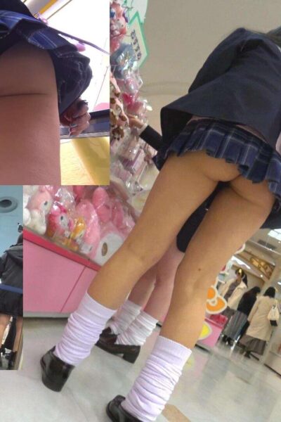 NICHE VIEW vol.77