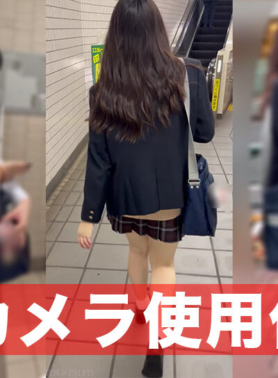 【めくり鳥05】強風オートめくり発動4日分